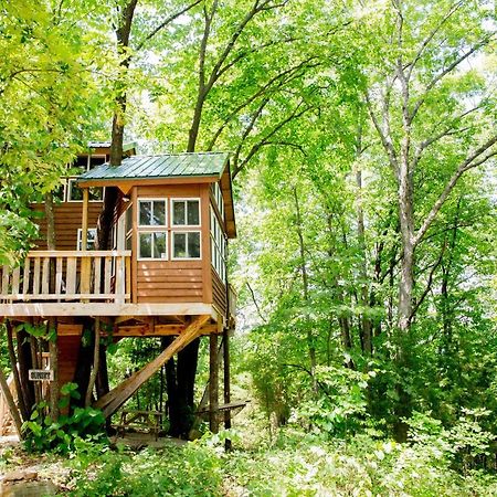 The Cottage Treehouses ハーマン エクステリア 写真